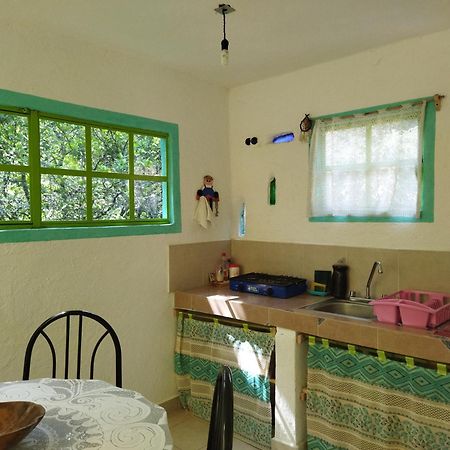 شقة Casa Ecologica تيبوزتلان المظهر الخارجي الصورة