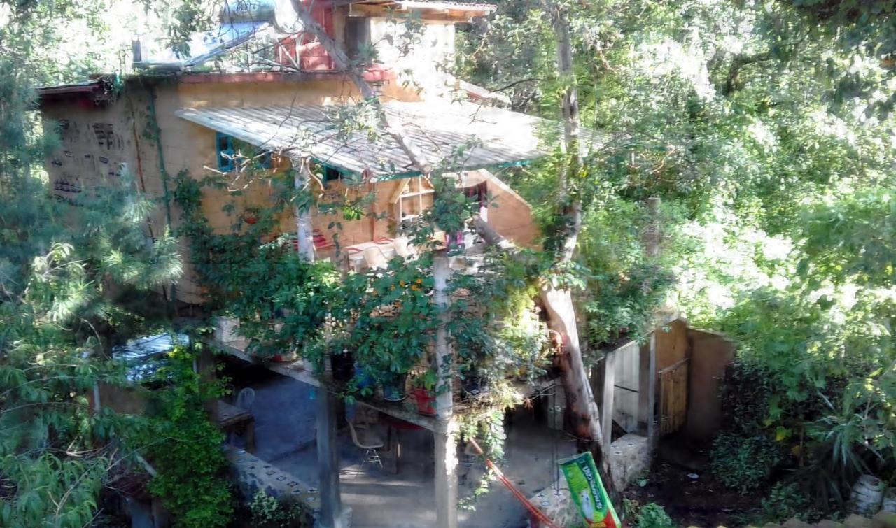 شقة Casa Ecologica تيبوزتلان المظهر الخارجي الصورة