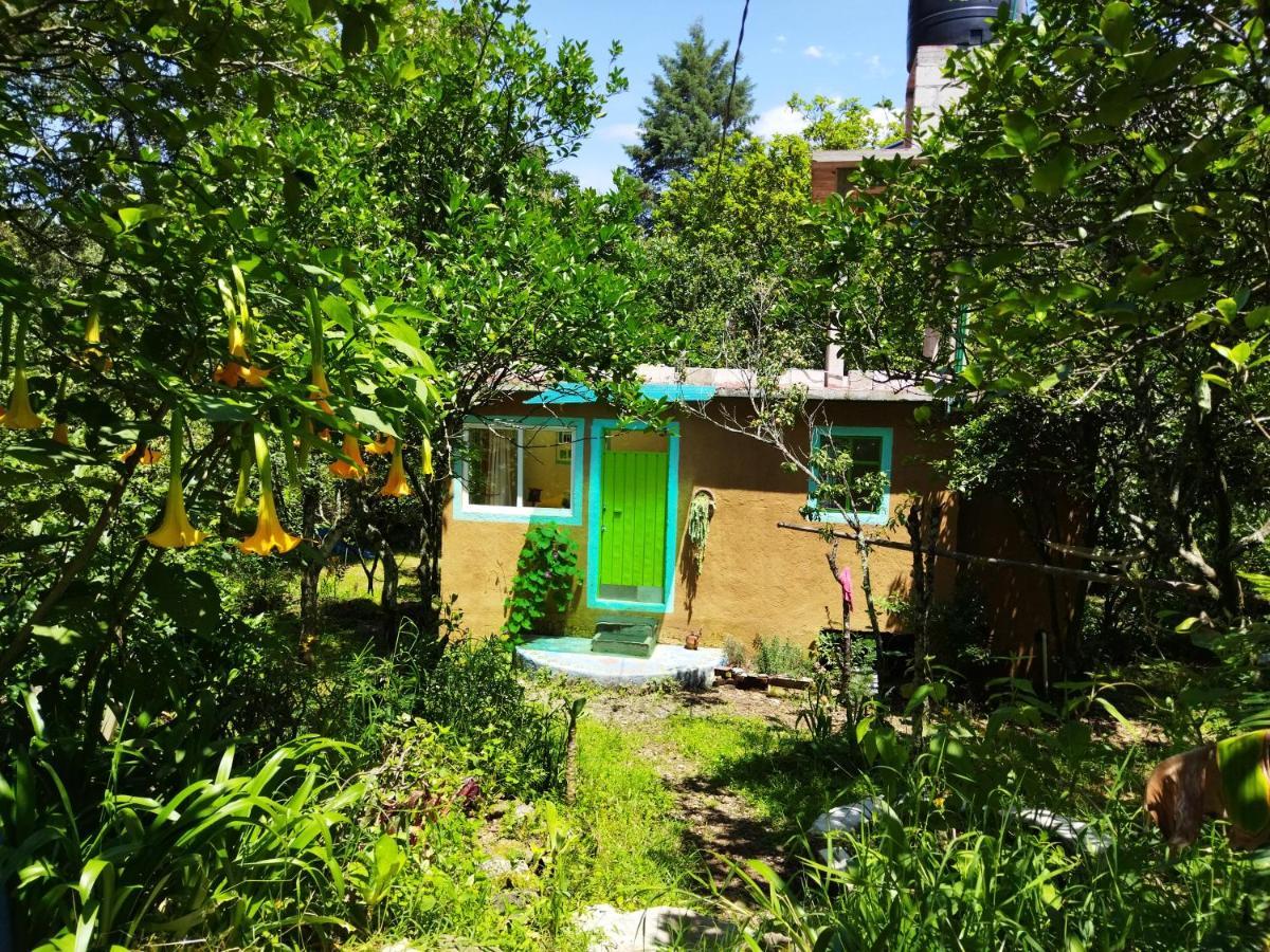 شقة Casa Ecologica تيبوزتلان المظهر الخارجي الصورة