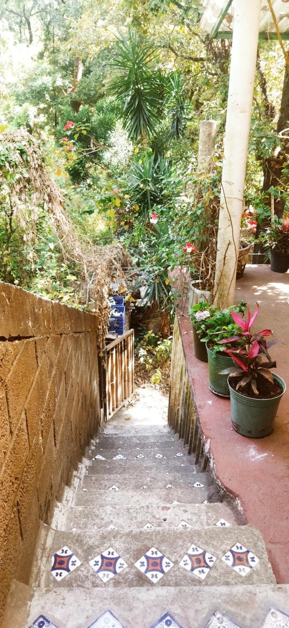شقة Casa Ecologica تيبوزتلان المظهر الخارجي الصورة