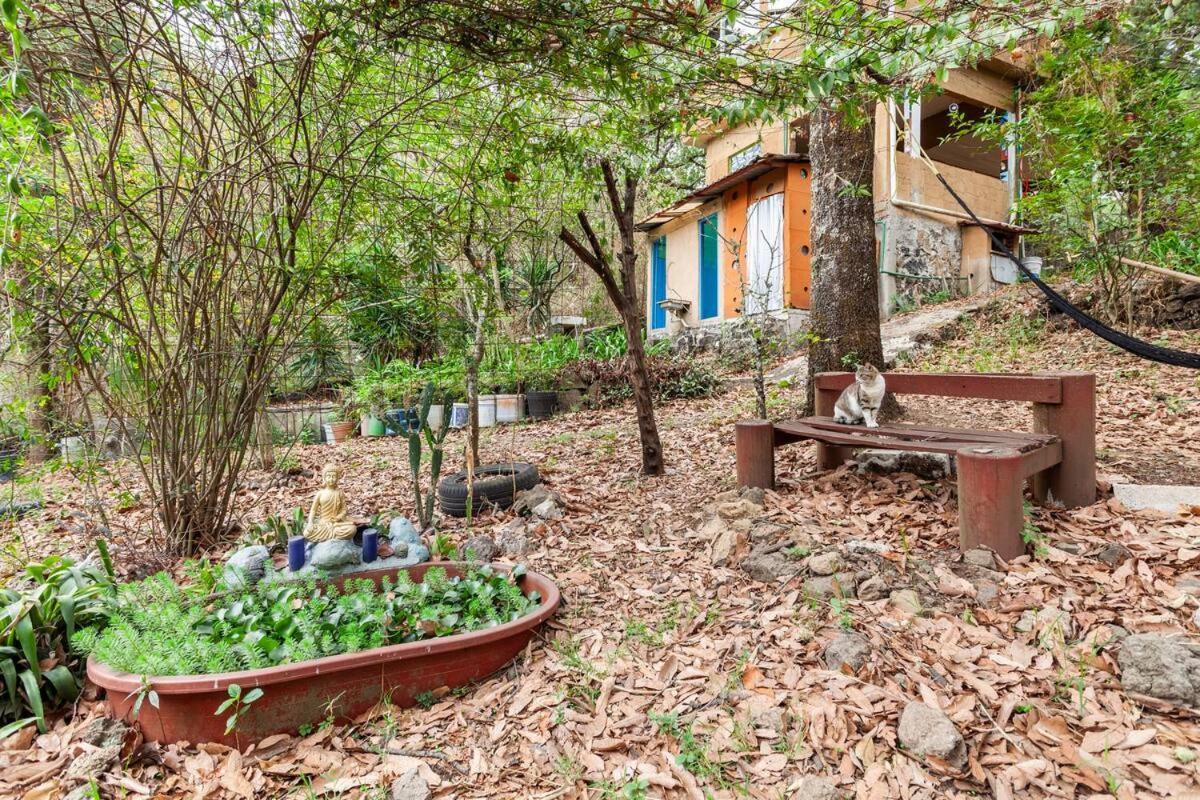 شقة Casa Ecologica تيبوزتلان المظهر الخارجي الصورة